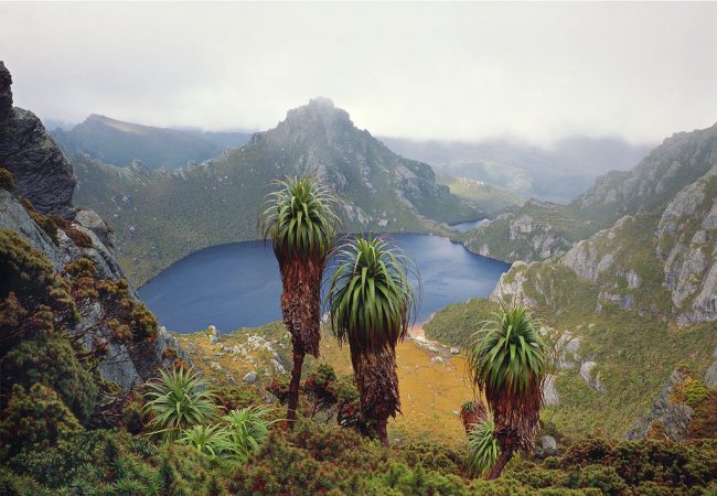 Exhibition: Journeys into the Wild – Peter Dombrovskis