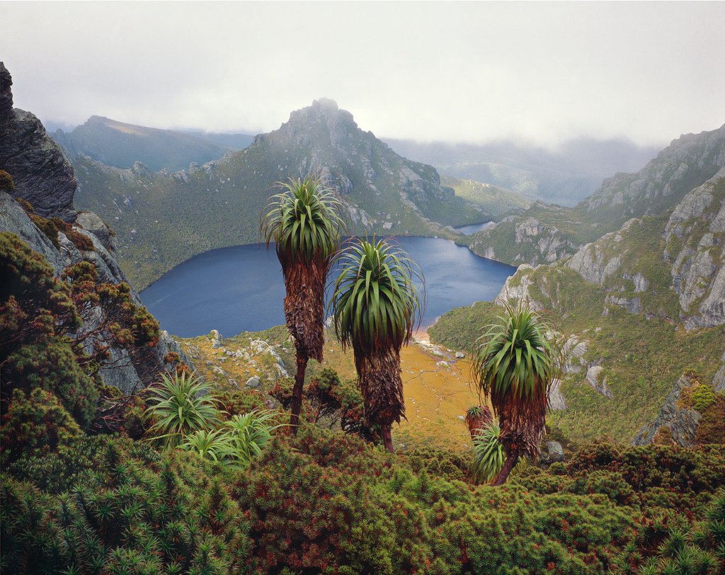 Exhibition: Journeys into the Wild – Peter Dombrovskis