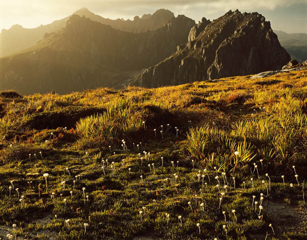 Book Review: Journeys into the Wild. The photography of Peter Dombrovskis