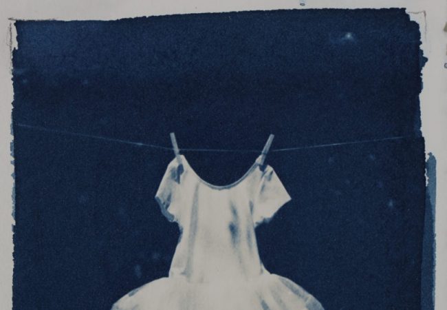 Workshop: Cyanotype and Van Dyke printing with Kim Sinclair