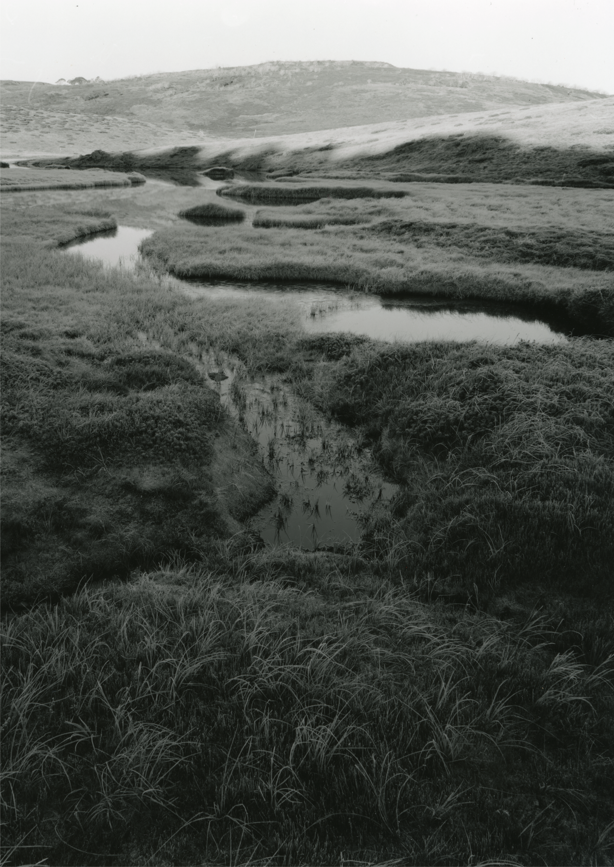 Exhibition: High Country by Bruce Herbert