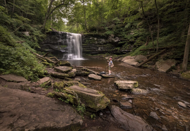 Pennsylvania Homecoming by Greg Soltys