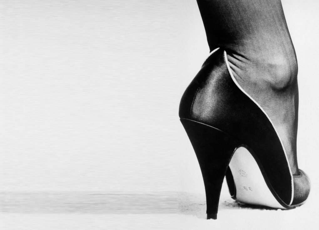 Exhibition - Helmut Newton: In Focus - View Camera Australia