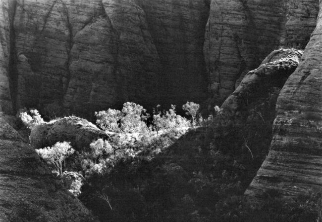 The Bungle Bungles in black & white – Murray White