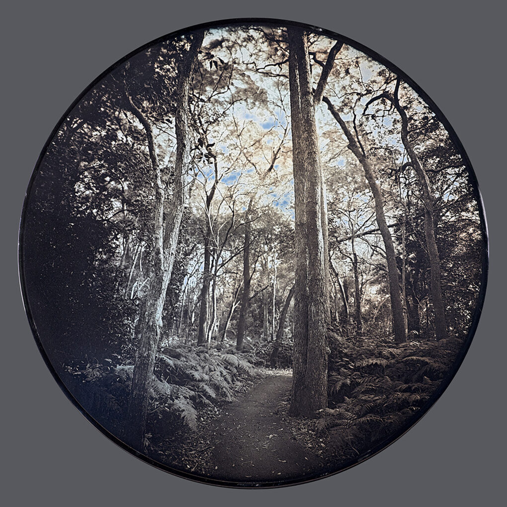 Exhibition: The End of the Beginning – Craig Tuffin