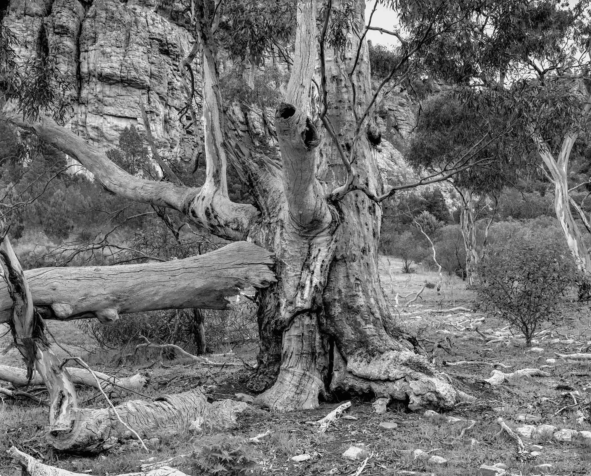 Mount Arapiles, photography, and the dark pastoral – Gary Sauer-Thompson. Part two