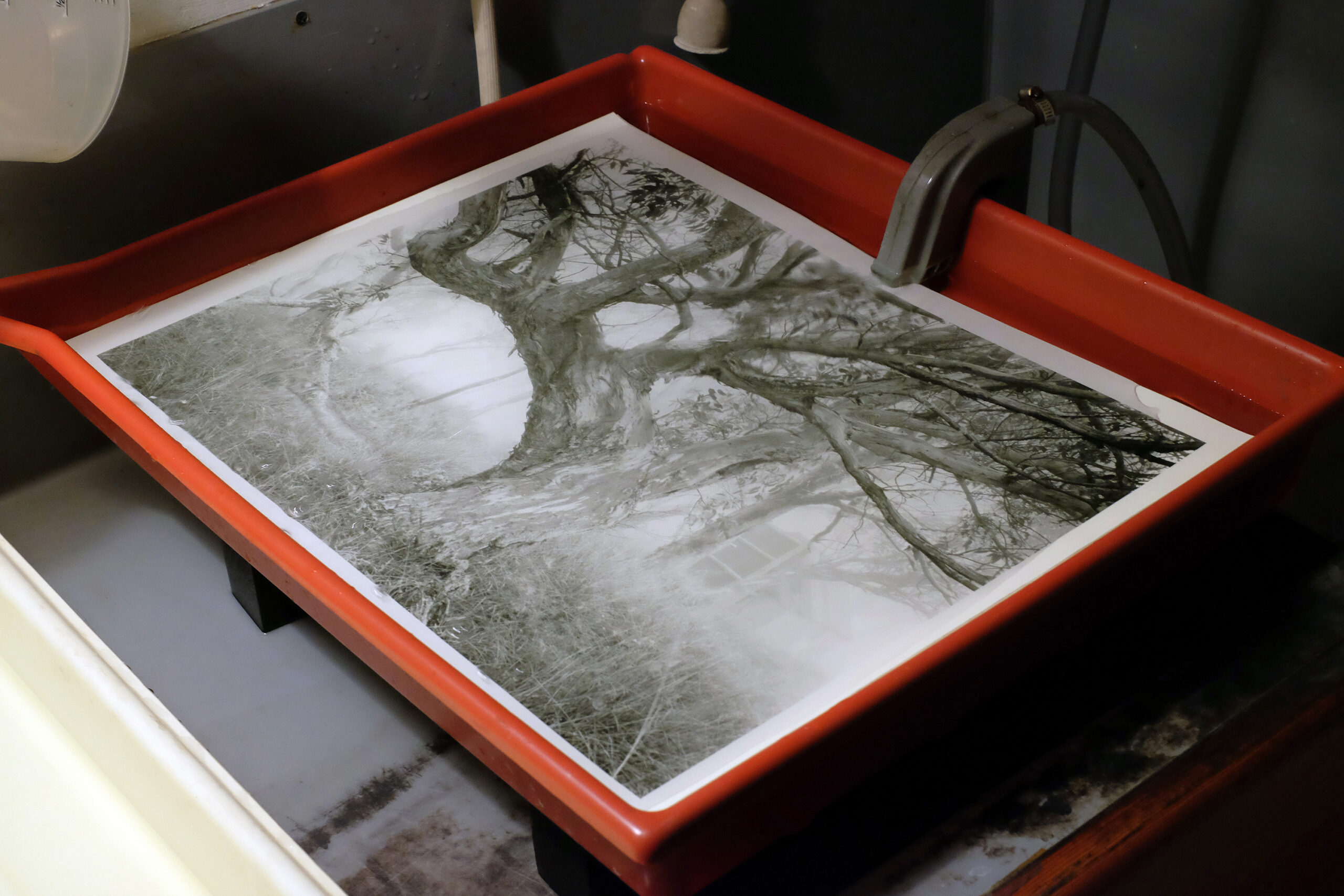 Floor talk – David Tatnall – The Hand-Made Photograph