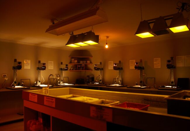 Re-launch of the Centre for Creative Photography’s Darkroom