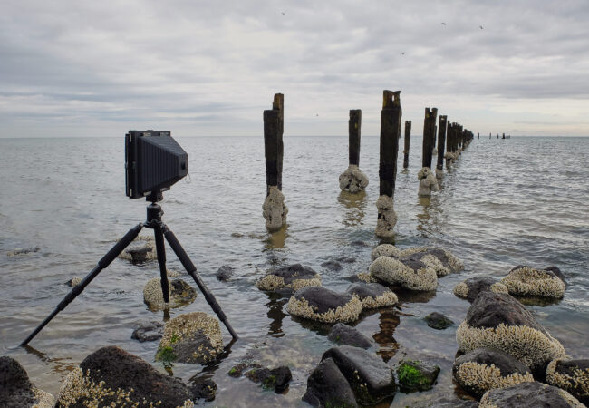 Workshop: Pinhole photography with Claire Paul