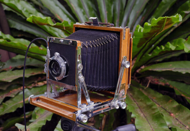 Workshop: Introduction to large format photography