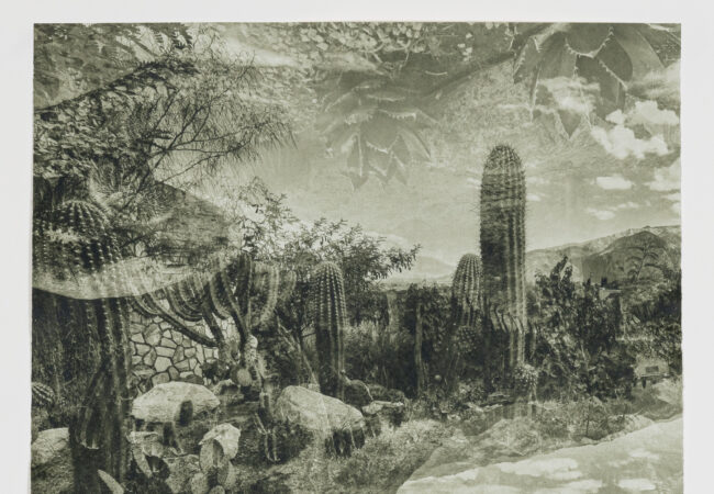 Exhibition: Re-framing the travel shot – Silvi Glattauer