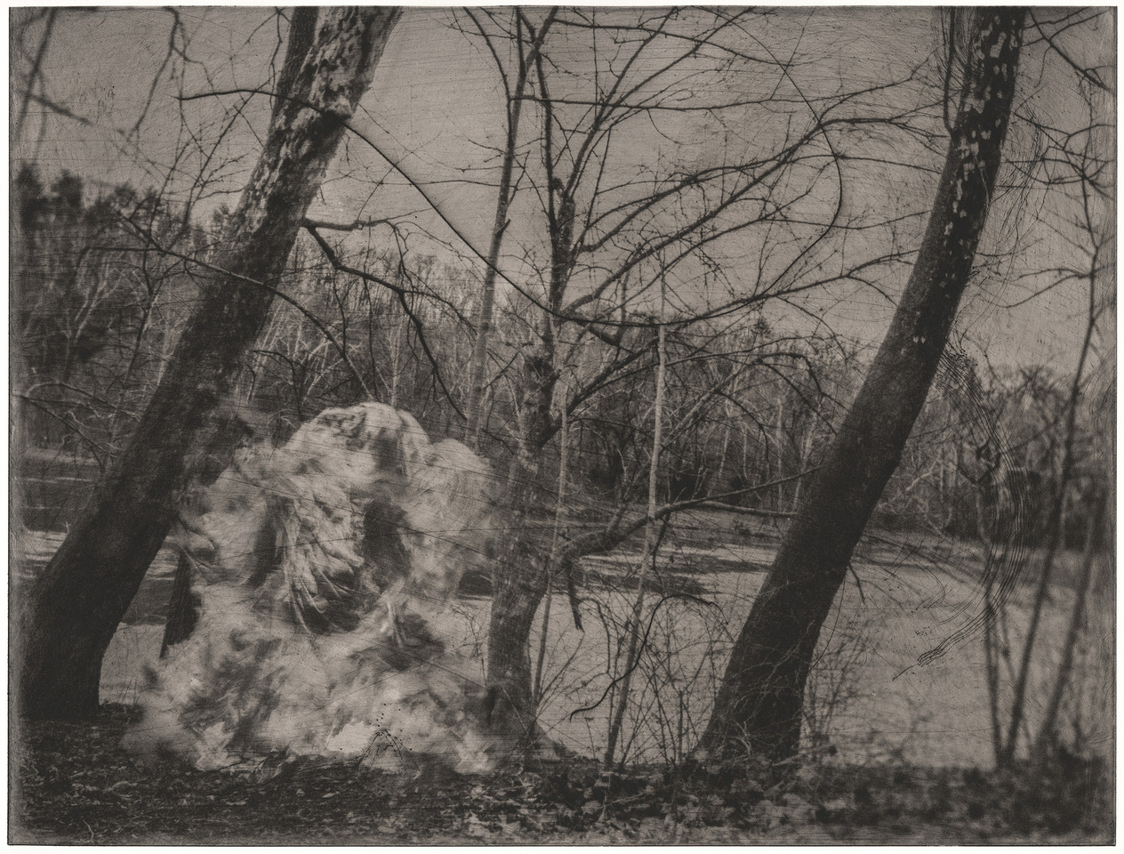 Exhibition: Being In The Land – Robyn Moore