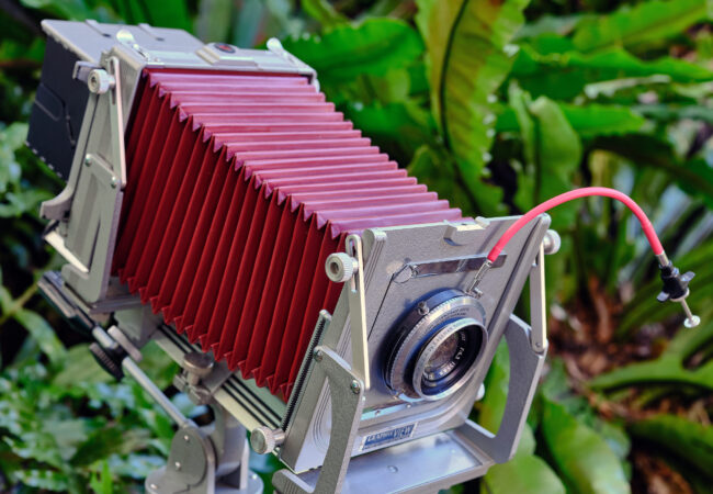 Workshop: Introduction to large format photography – PhotoAccess