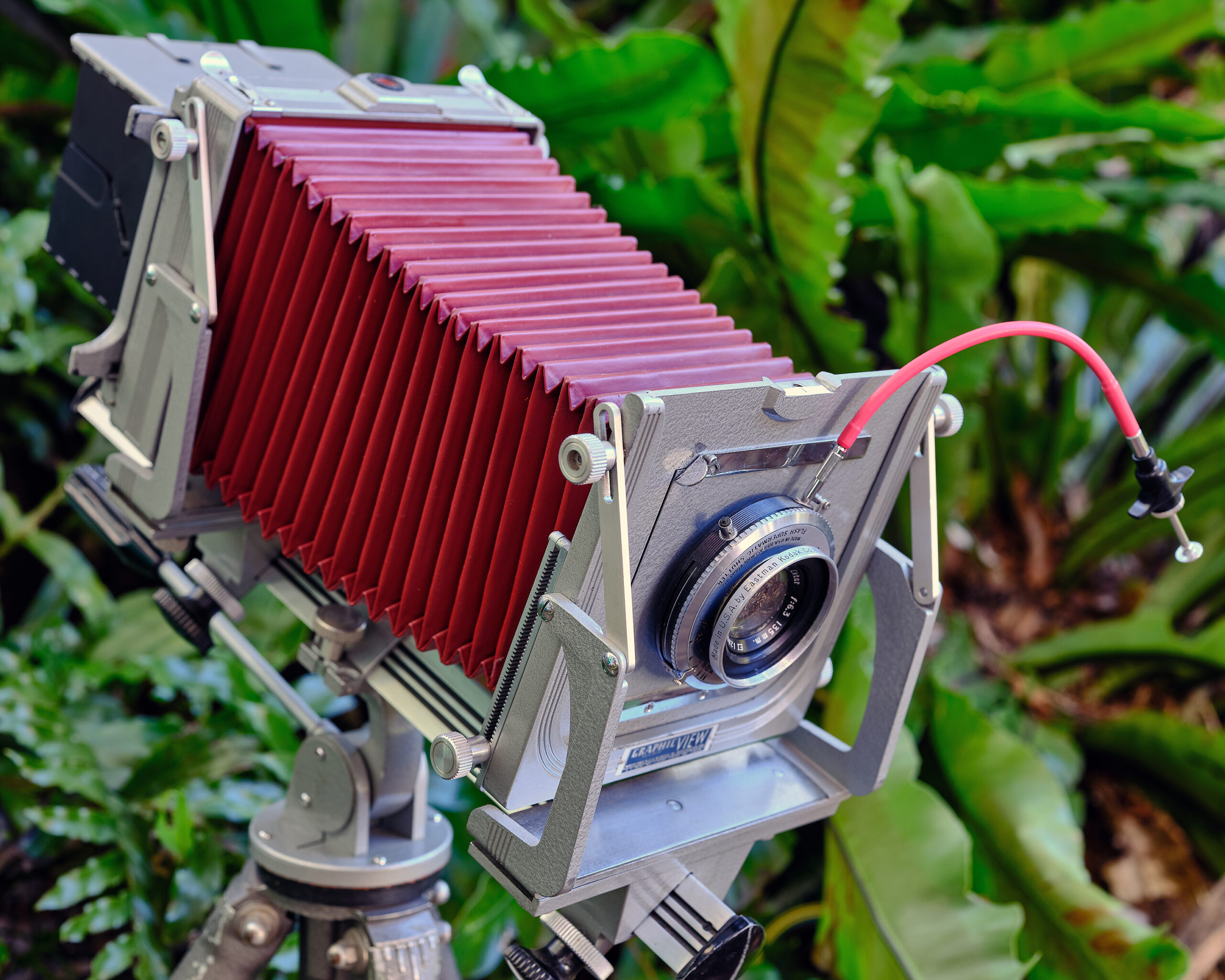 Workshop: Introduction to large format photography – PhotoAccess