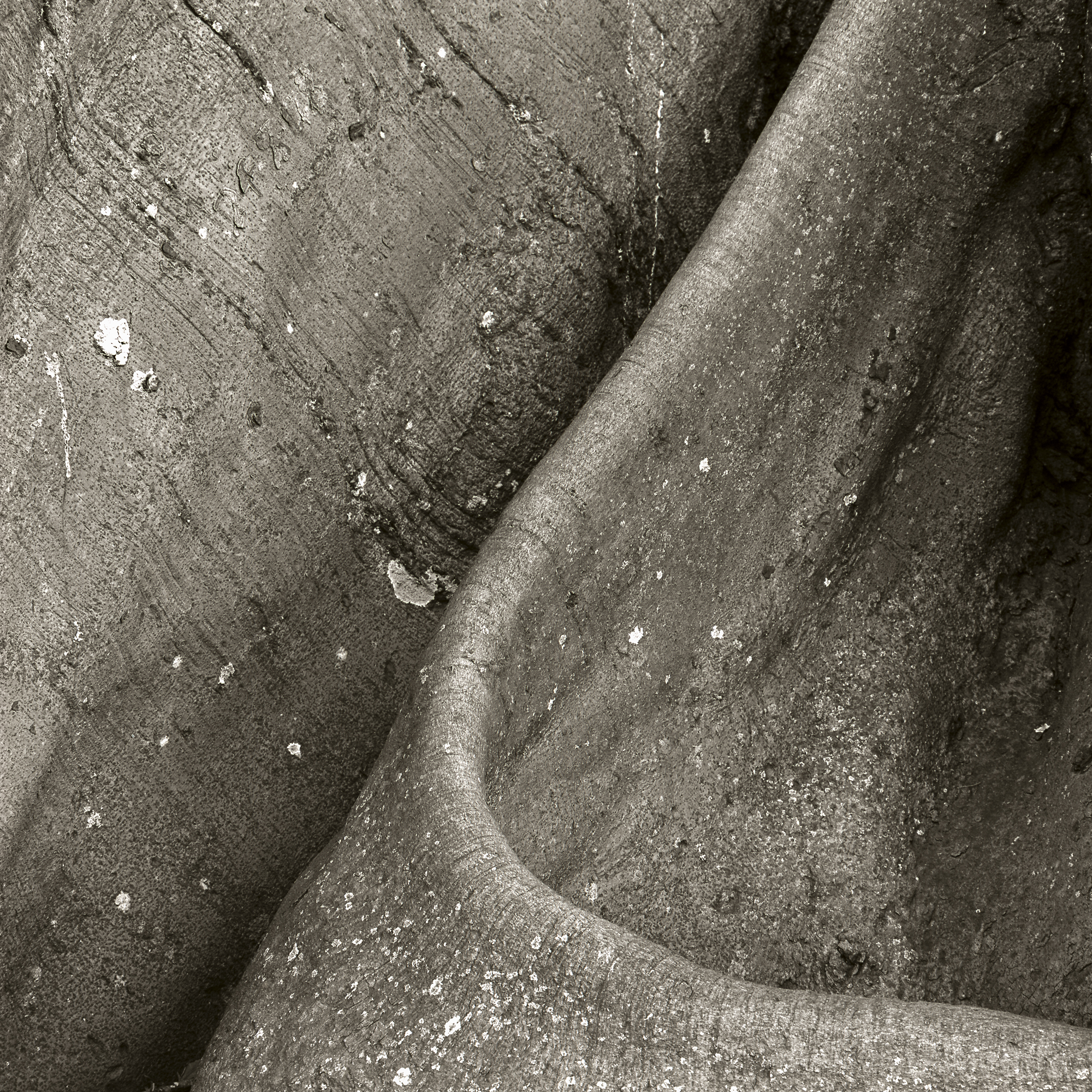Folio: James Niven