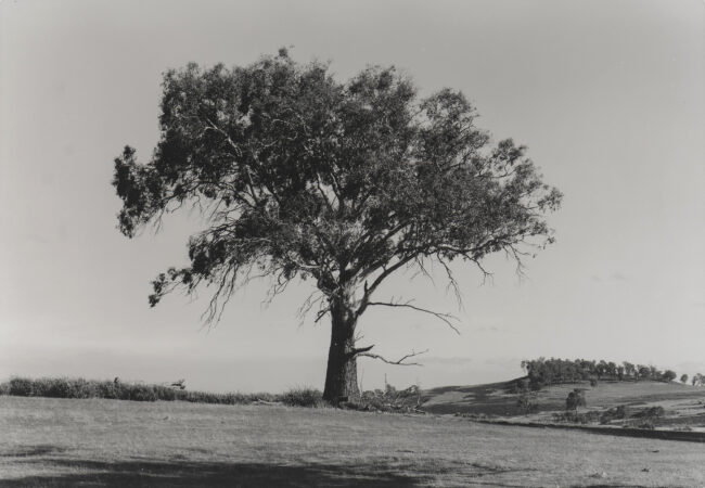 Exhibition: Afterlife – Kevin Frost