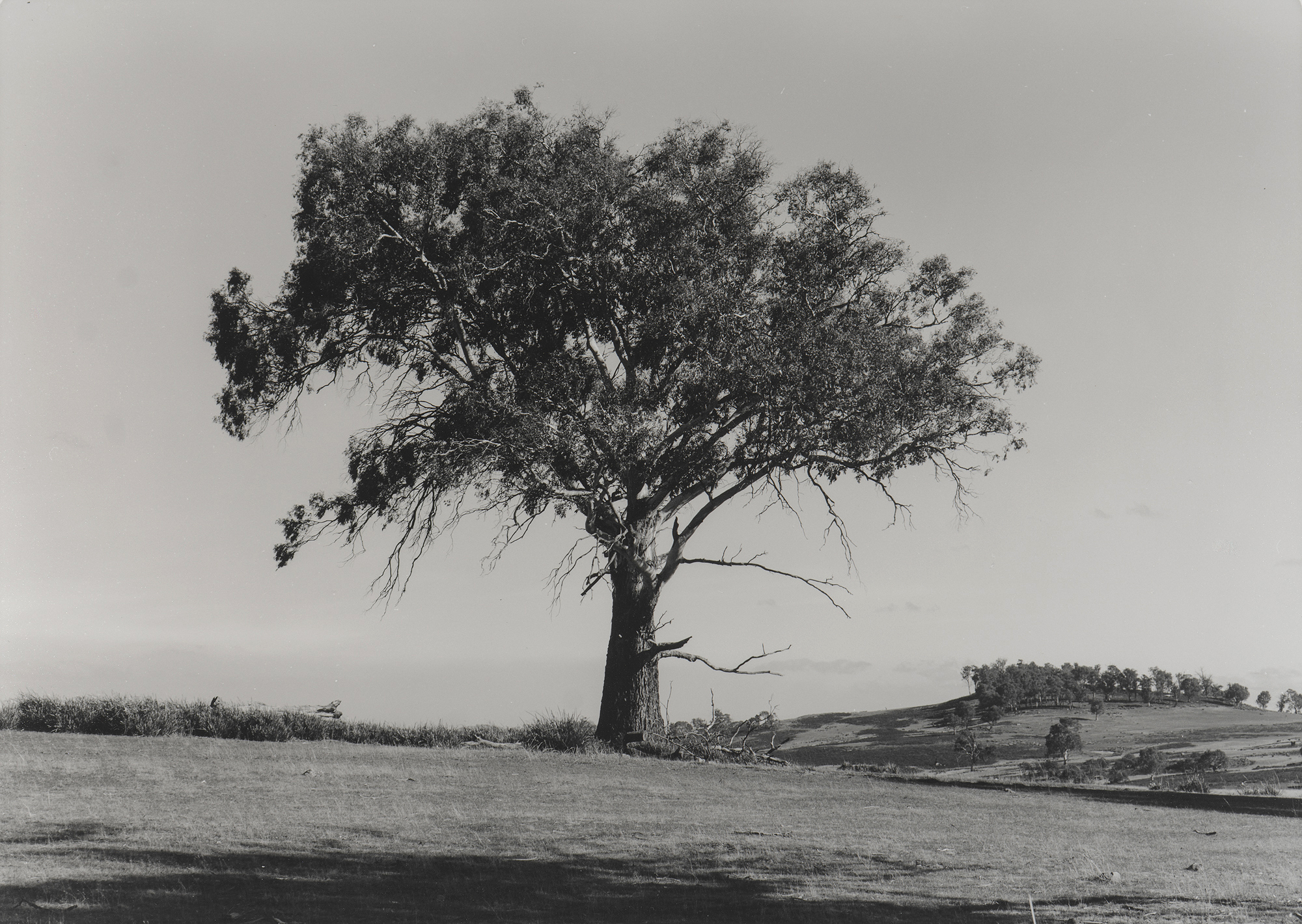 Exhibition: Afterlife – Kevin Frost