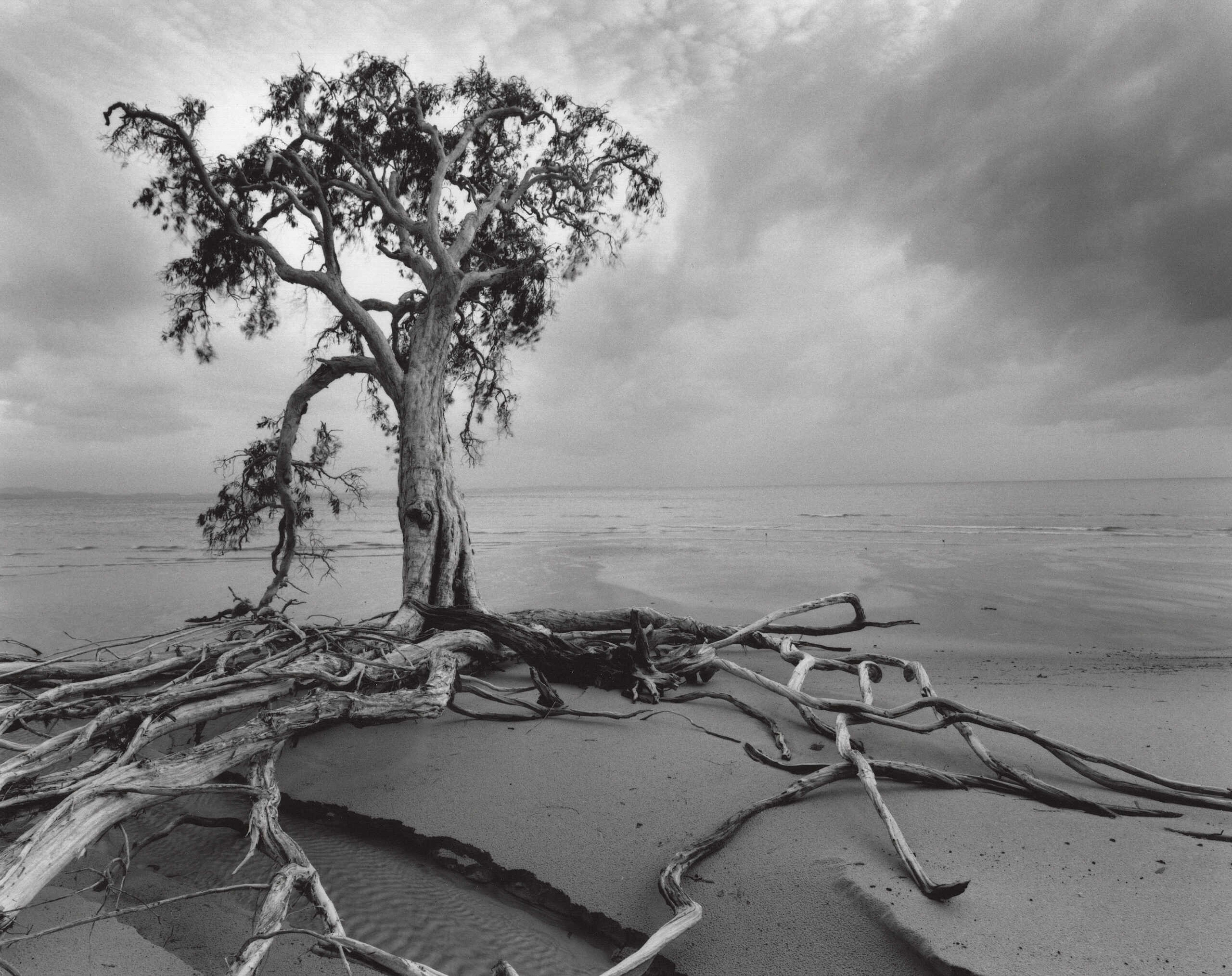 Cape York:  Beyond the Tip – Murray White