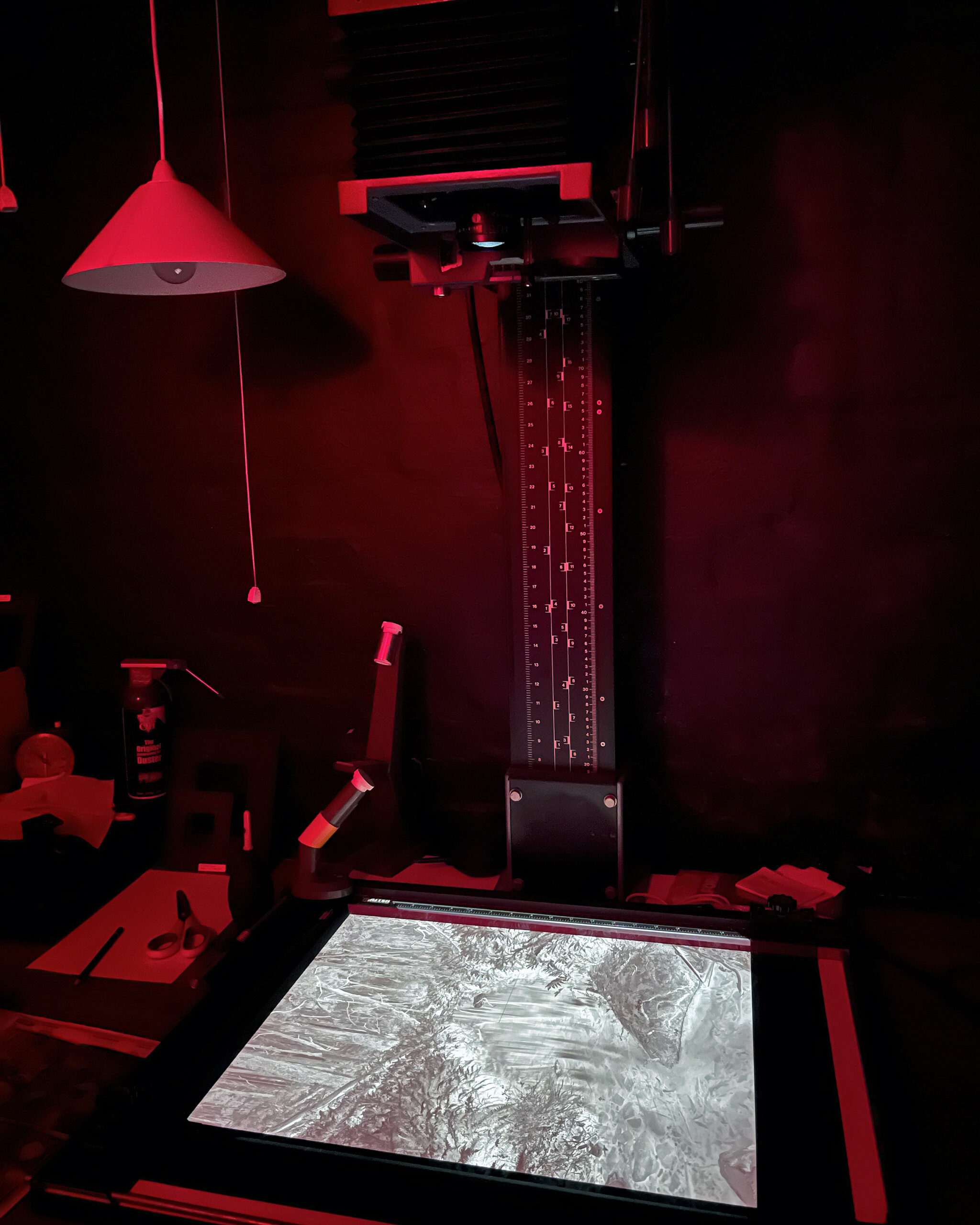 Submissions now open for online exhibition