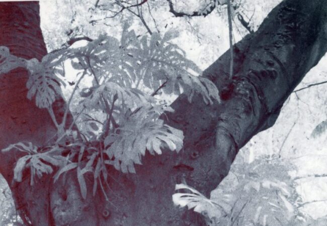 Exhibition: The Print Exposed