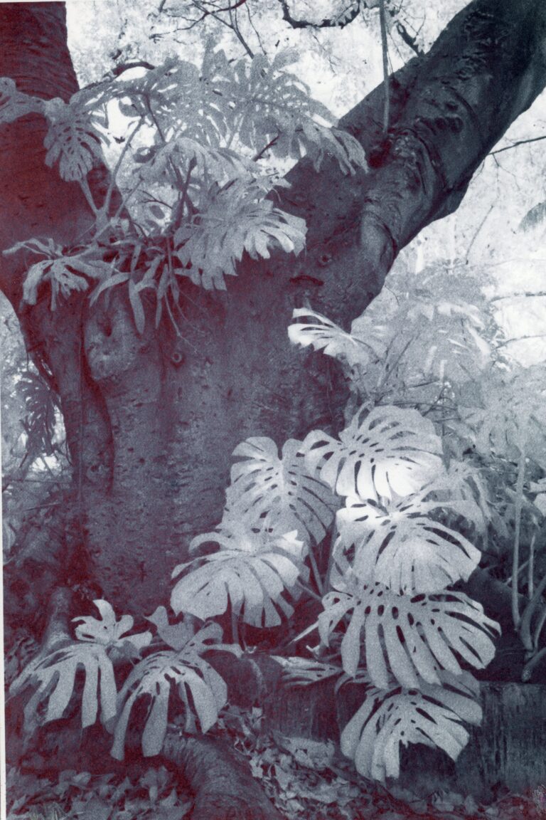 Exhibition: The Print Exposed