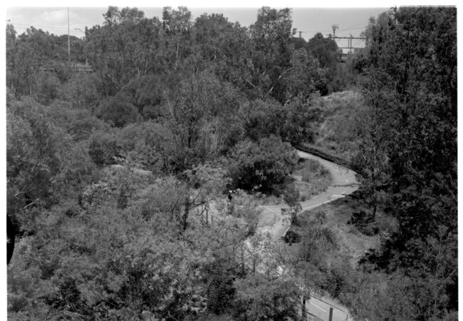 View Camera Australia online exhibition April 2026