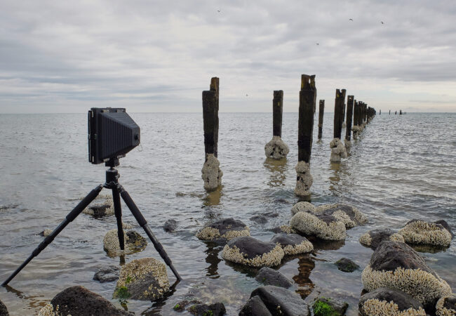 Worldwide Pinhole Photography Day 2026