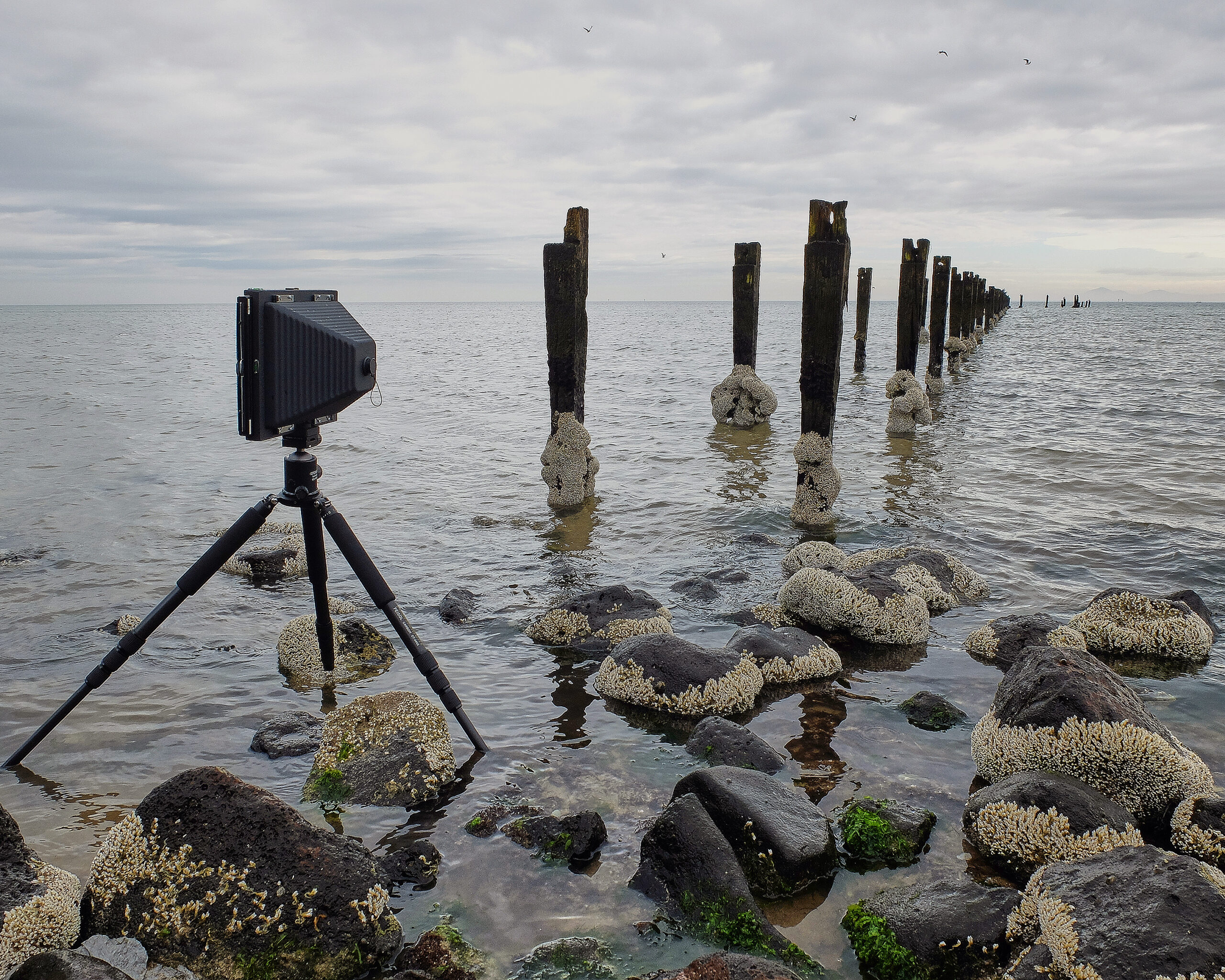 Worldwide Pinhole Photography Day 2026