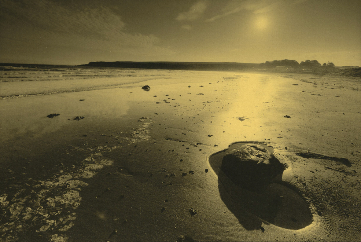 Exhibition: Ag+  Chris Reid