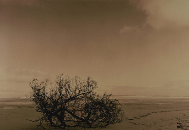 Photography in Gippsland – a Yarram Weekend