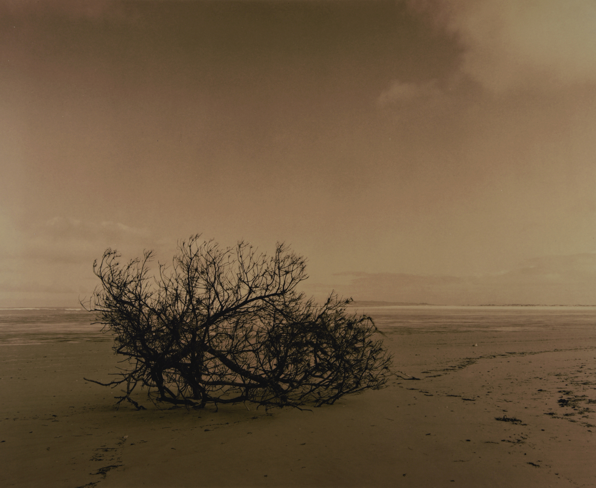 Photography in Gippsland – a Yarram Weekend