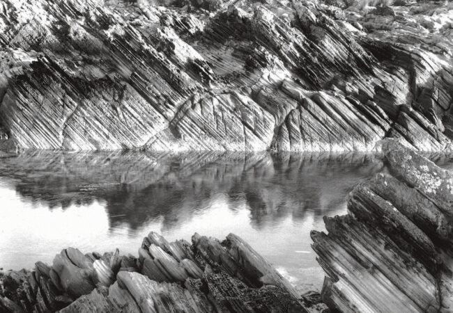 Treasures of The Tarkine – Murray White