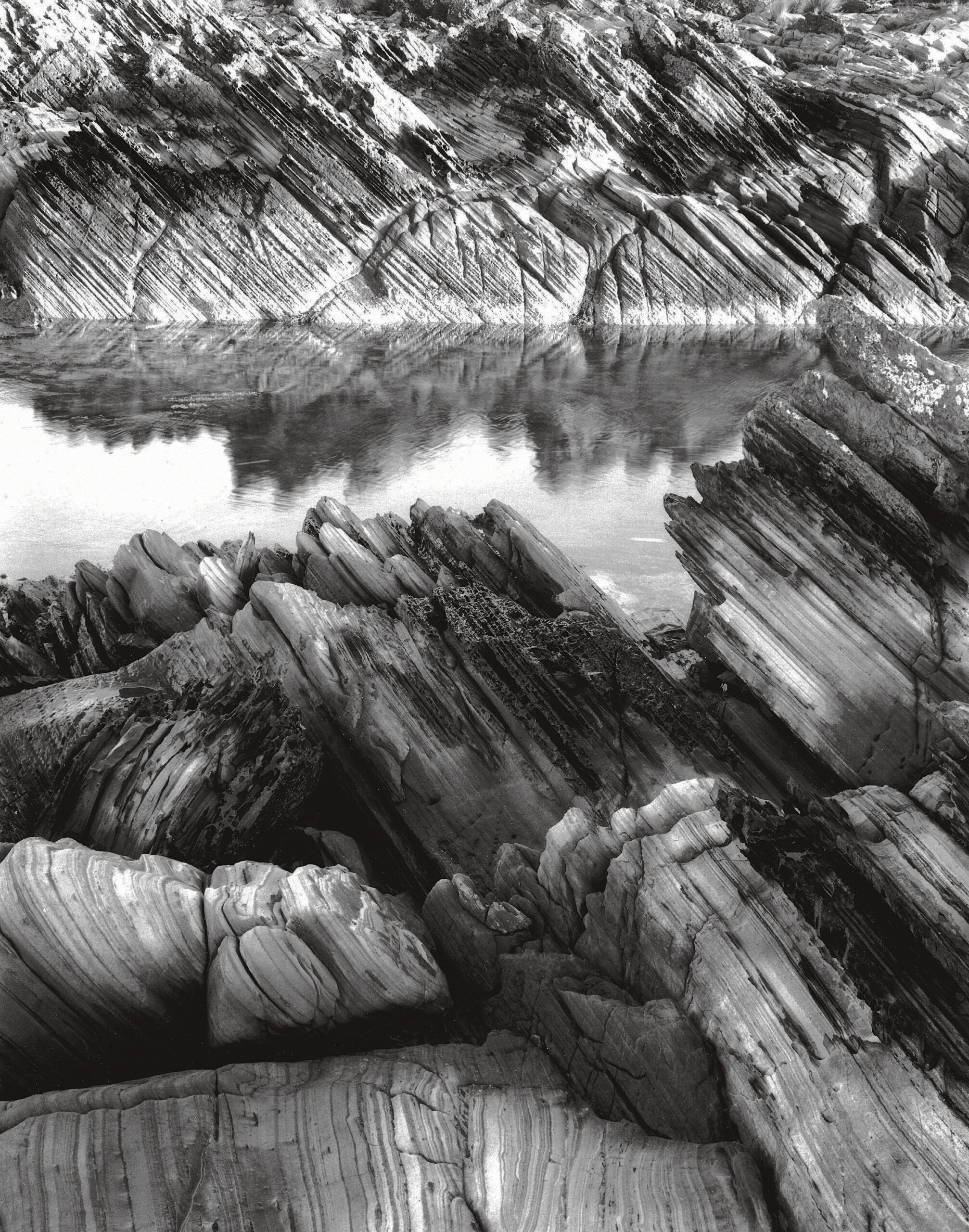 Treasures of The Tarkine – Murray White