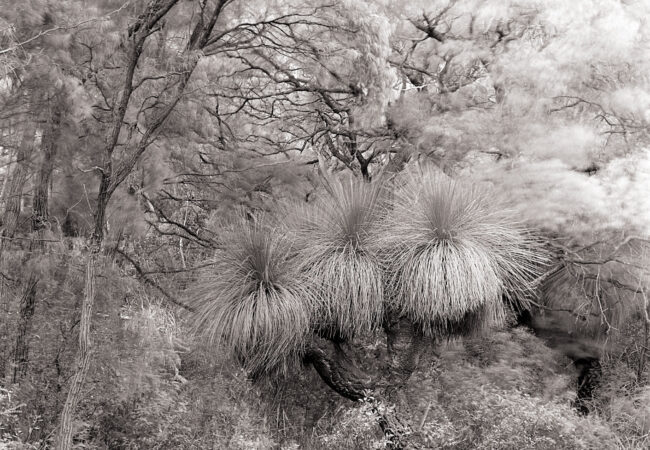 Finding Stillness in the Centre of Chaos – Alex Bond