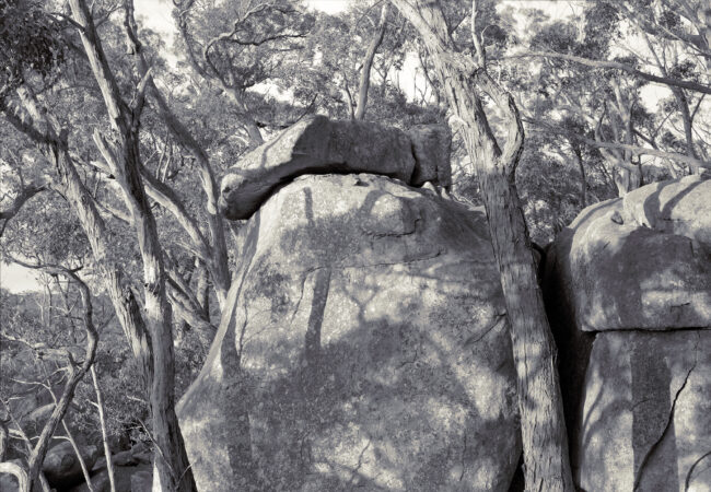 Harry Nankin’s Acts of Ritual, 2020-24