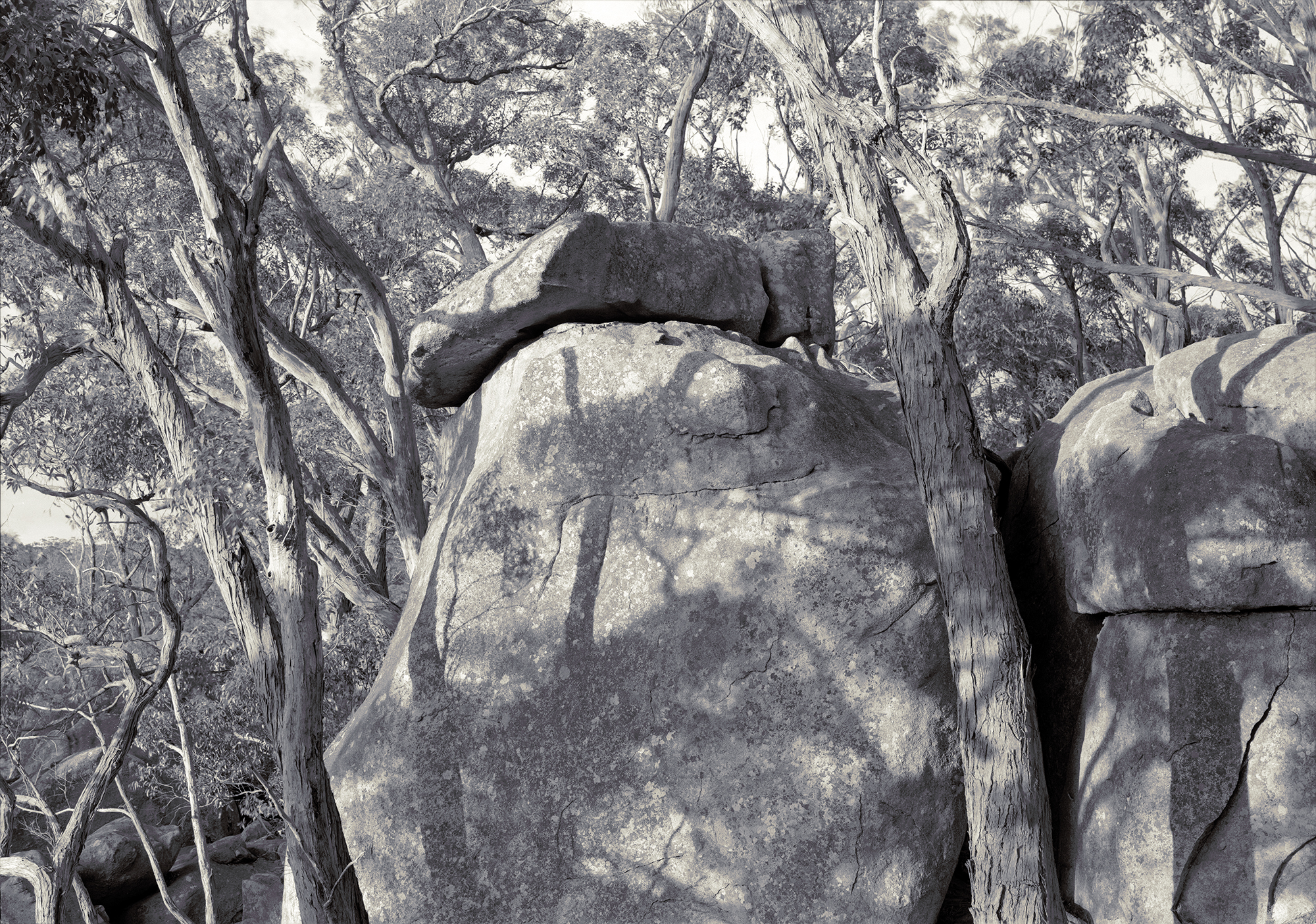 Harry Nankin’s Acts of Ritual, 2020-24