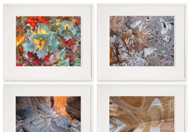 Traces: Framed prints by Chris Bell