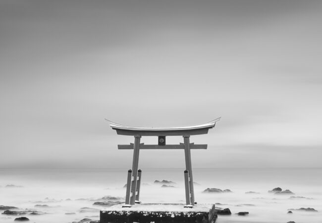 Exhibition: Diverse Perspectives – Fine Monochrome Print Group