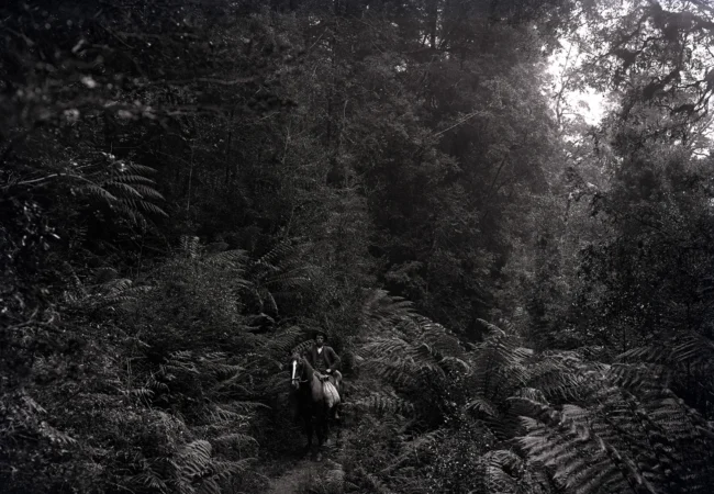 Exhibition: Exposed Lands – 100 Years of Tasmanian Landscape Photography