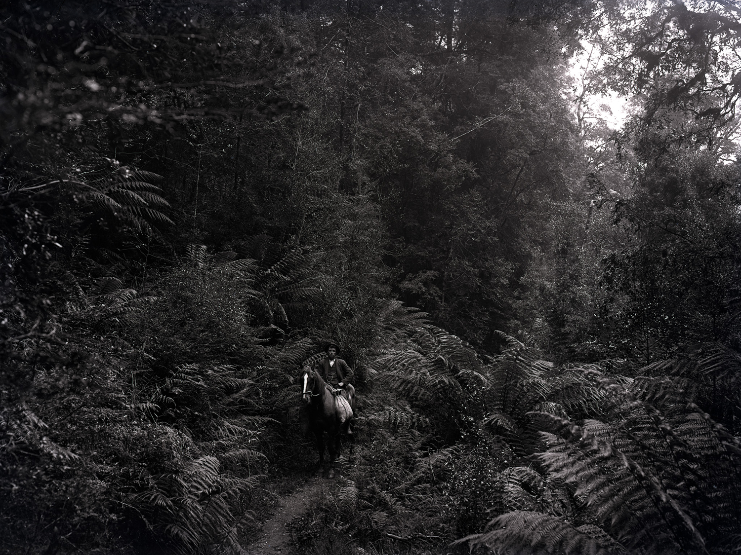 Exhibition: Exposed Lands – 100 Years of Tasmanian Landscape Photography