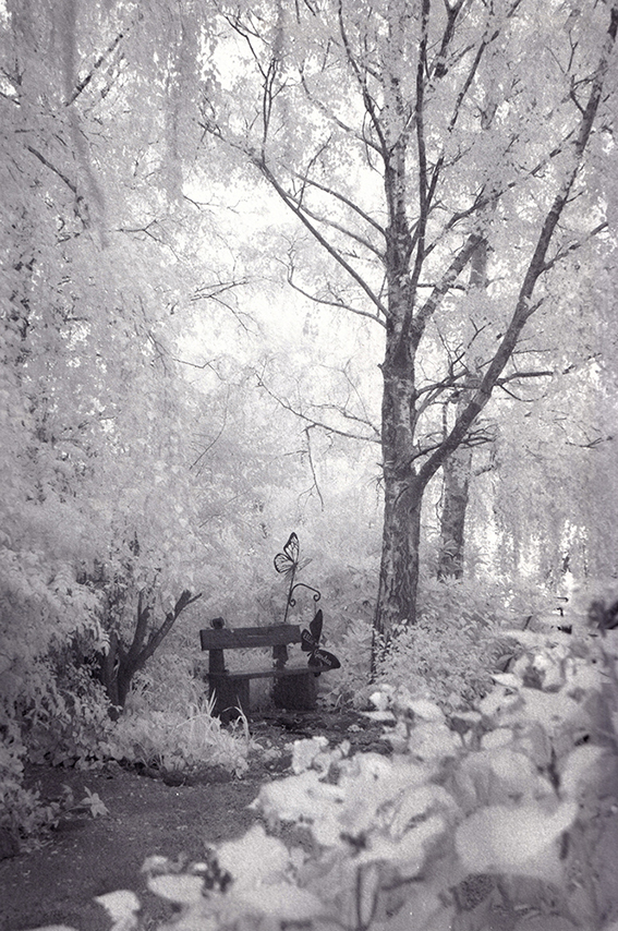 Alternative Photographic Process Symposium 2027 