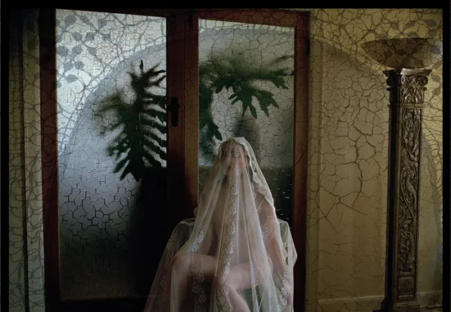 Exhibition: Nightwood – Jane Burton