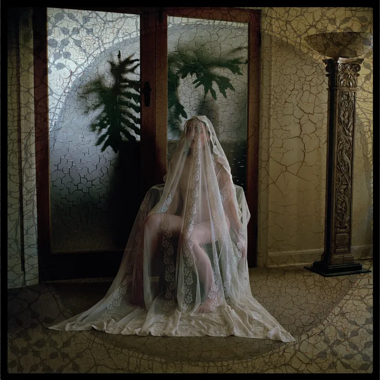 Exhibition: Nightwood – Jane Burton